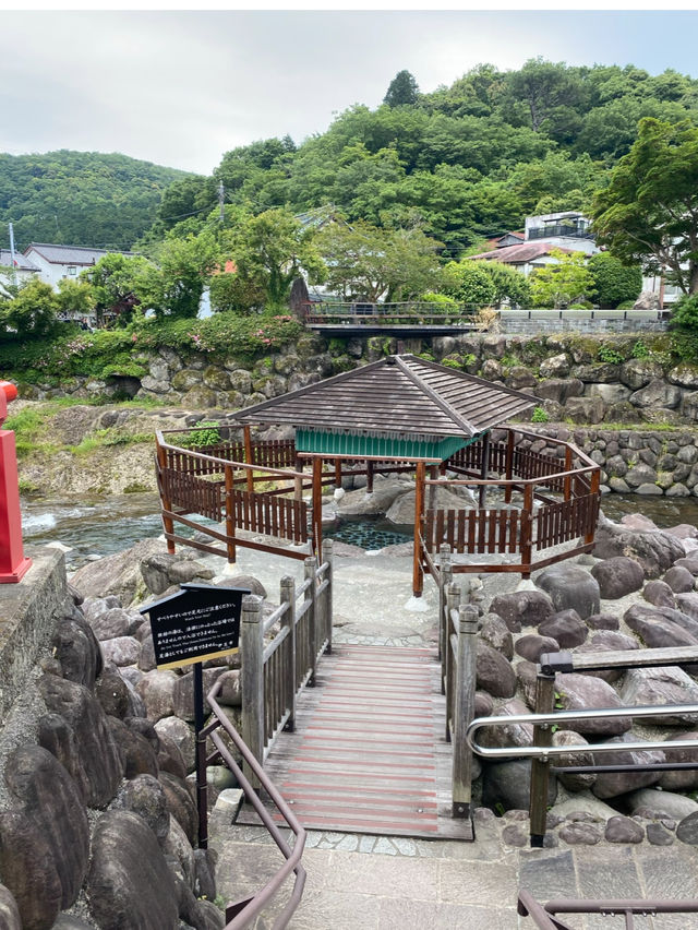 【静岡/伊豆修善寺】竹林の小径でおさんぽ🎋