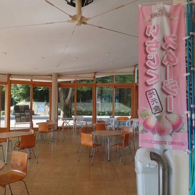 四季折々のイベント「大池公園」