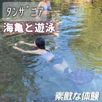 海亀と遊泳体験🐢💚