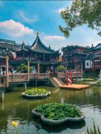 Step Back in Time at Yu Garden in Shanghai 🇨🇳