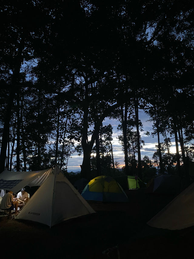 ฤดูฝนที่ดอยขุนตาล | ลำพูน 🏕️🌳🌦️🌿