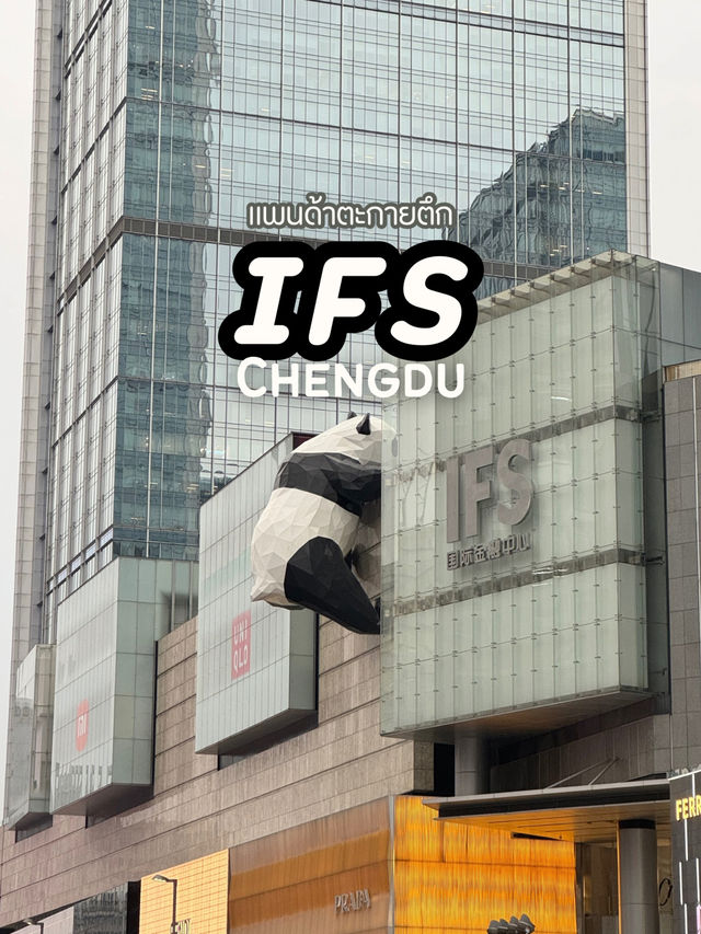 แพนด้าตะกายตึก IFS เฉิงตู