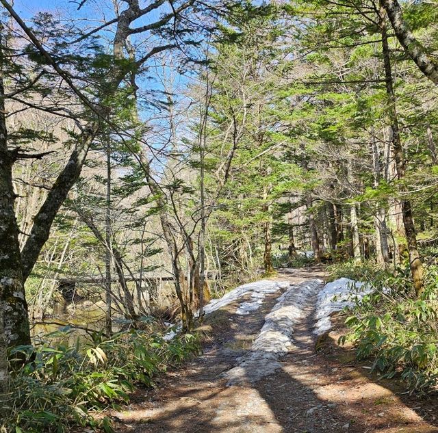 初夏開山的殘雪美景，上高地健行之旅。