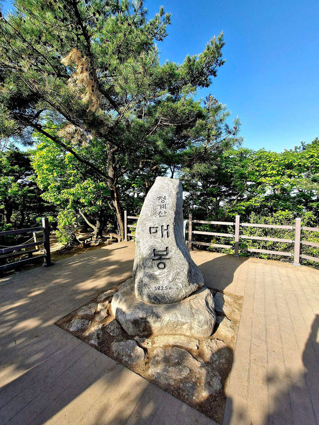 ✨가족과 함께 서울 근교 청계산 추천해요😘