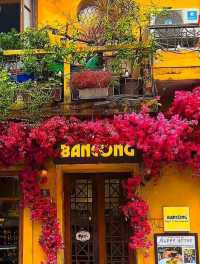 **🇻🇳 Discover Vietnam: Where Beauty Meets Culture 🌿