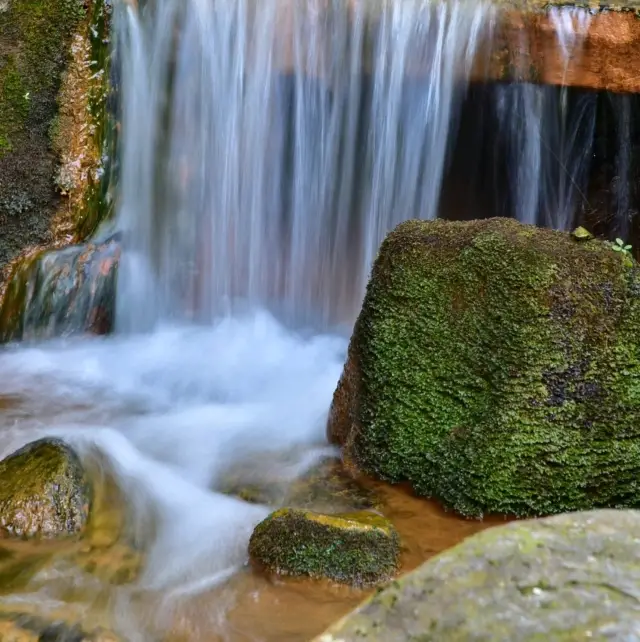 Expo '70 Commemorative Park in Osaka