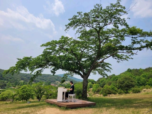 캠핑클럽🏕 촬영지로 유명한, 자연을 즐기며 쉬어가는 곳 
