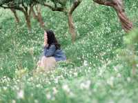 ภูดอย โฮมสเตย์ ม่อนแจ่ม