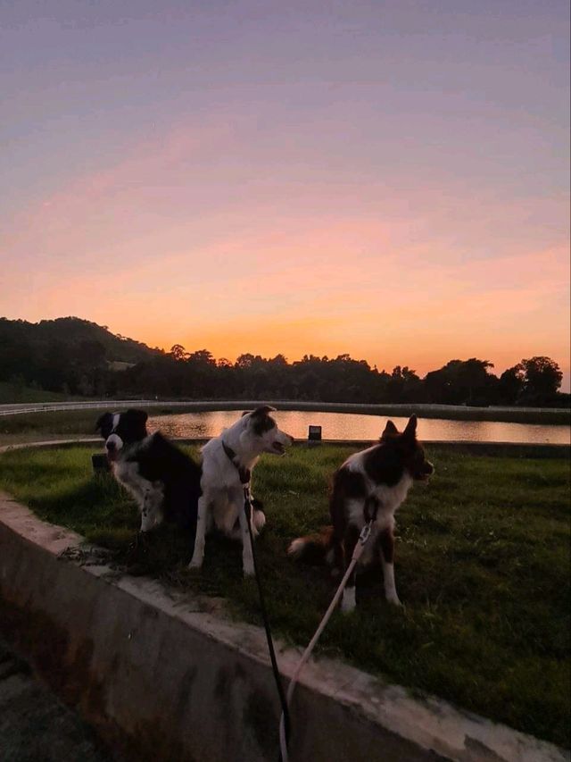 ตะลุยเทรล 6 กิโลเมตร ที่ Wisdom Valley