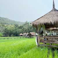 SAM NA CAFE 🍵 LUANG Prabang 