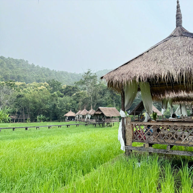 SAM NA CAFE 🍵 LUANG Prabang 