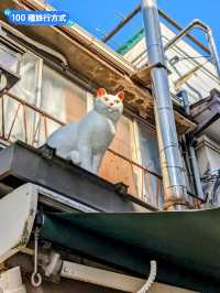 日本東京-人文薈萃的下町風情畫：谷中銀座