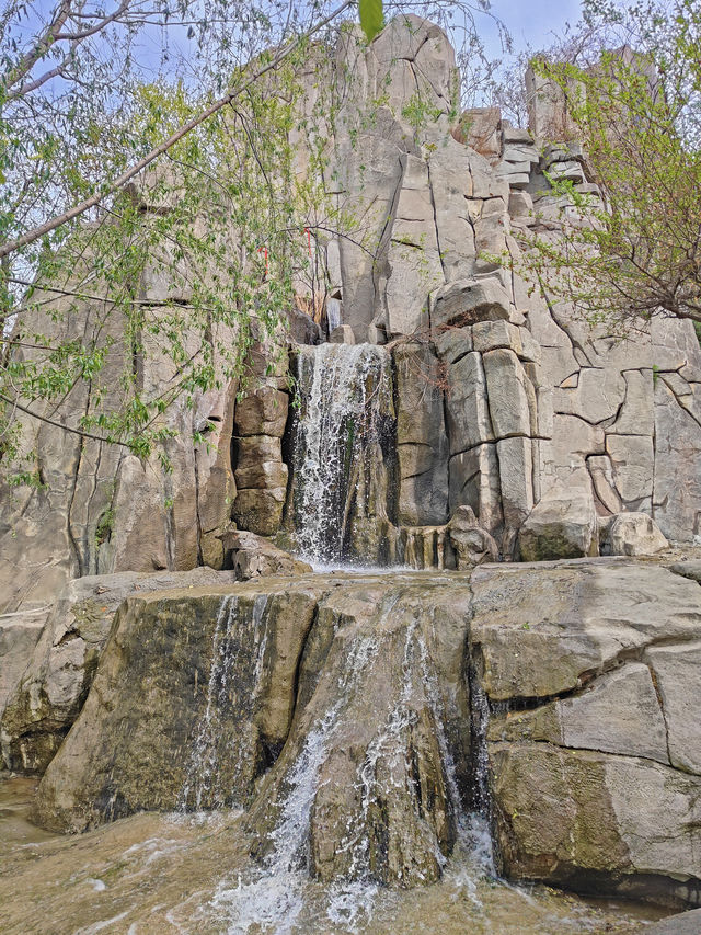 集當代書法大全藝術風采：中國翰園