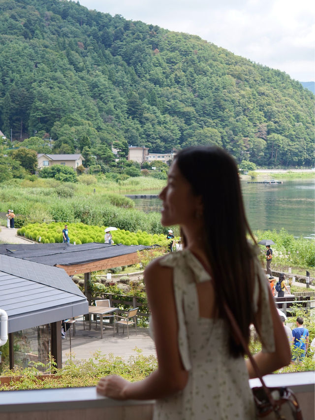 東京 | 必去富士山周邊景點首選 - 大石公園🌼