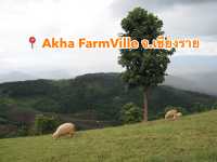 📍 Akha FarmVille จ.เชียงราย
