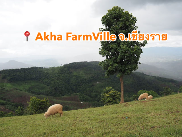 📍 Akha FarmVille จ.เชียงราย