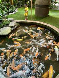 Urban Adventure at 1 Utama Treetop Adventure @ Rainforest
