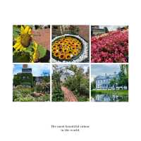 【8月好去處】英國花園～放鬆身心好去處