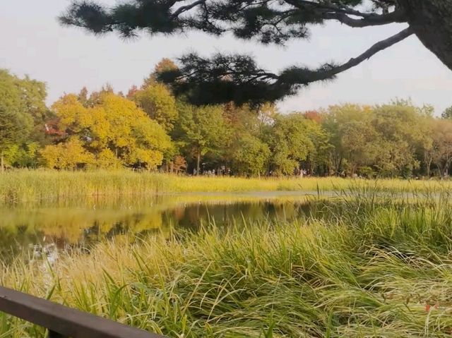 遠離繁忙市中心的好去處！