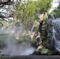 Lalitta Cafe คาเฟ่สวนป่าหิมพานต์ @ เชียงราย