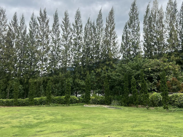 🌳dusitD2 Khao Yai