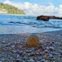 "Discovering the Natural Wonders of Penang National Park"
