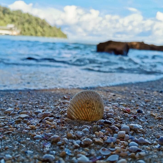 "Discovering the Natural Wonders of Penang National Park"