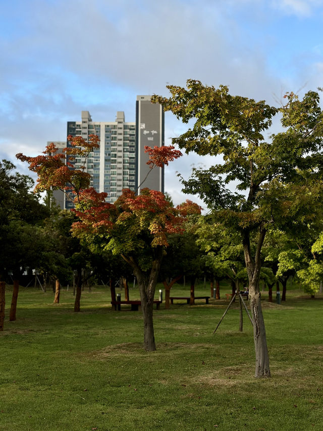September in Busan 🍂