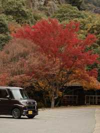 [四國自駕遊] 搭乘汽車渡輪自駕前往小豆島