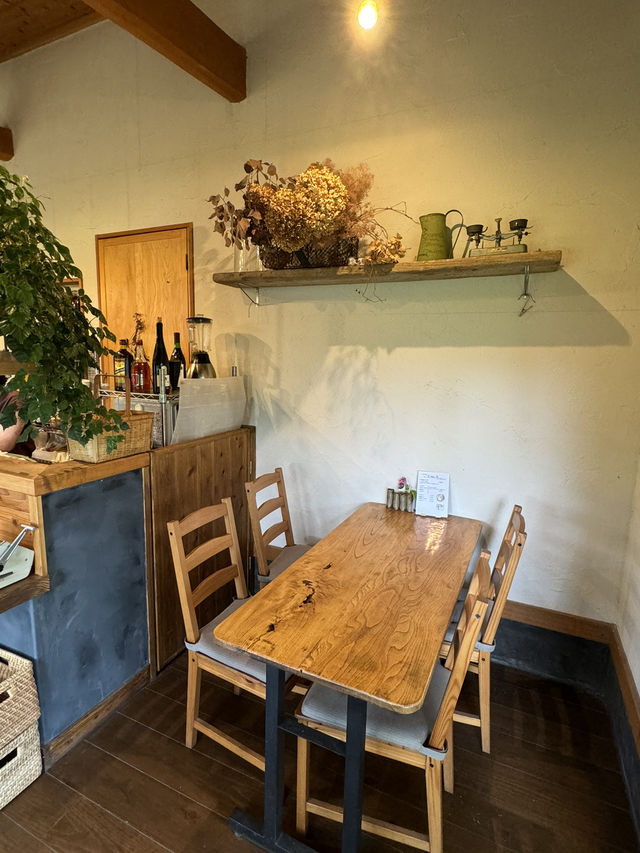 【福岡カフェ】緑いっぱいのお庭を眺めながらランチできるカフェ🍽