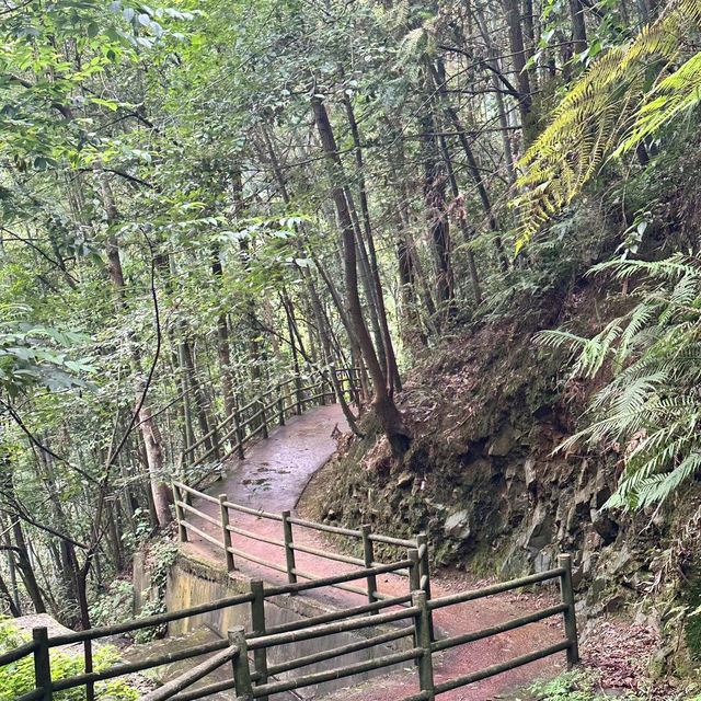 ～陽台山森林公園～自然的奇妙～
