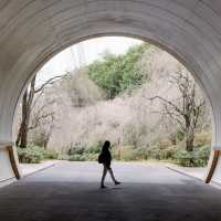 🛣️穿越時光隧道，邂逅 Miho Museum 的奇幻之旅
