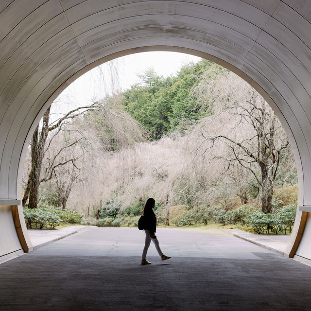 🛣️穿越時光隧道，邂逅 Miho Museum 的奇幻之旅