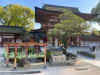 福岡遊太宰府天滿宮⛩️