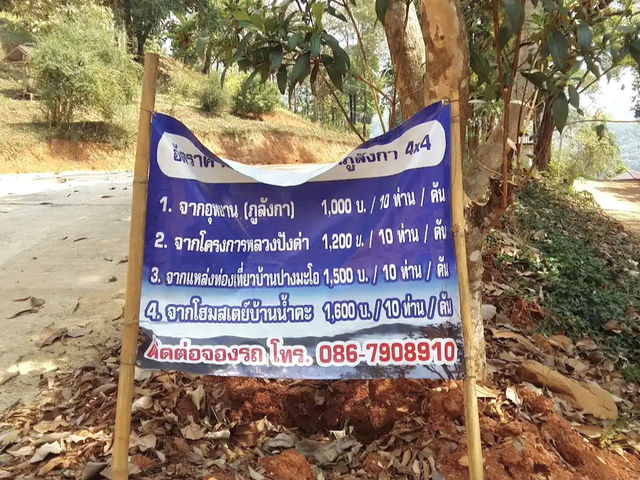 ลานกางเต็นท์ภูลังกา จ.พะเยา
