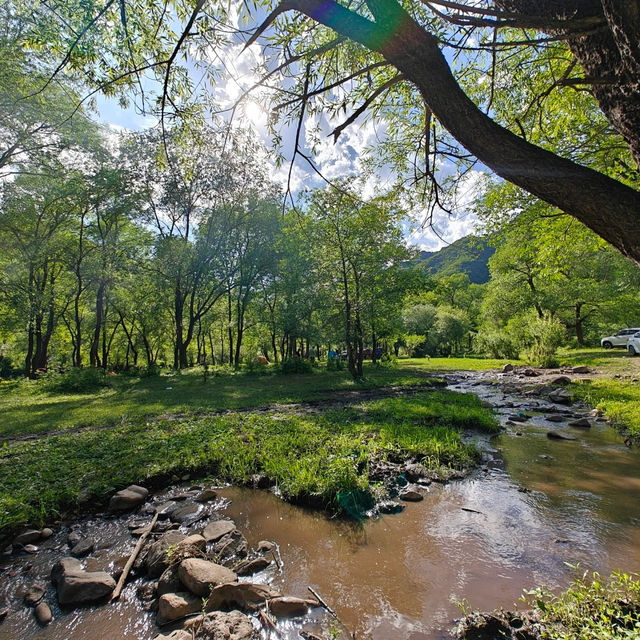輕風露營營地⛺️自然環繞