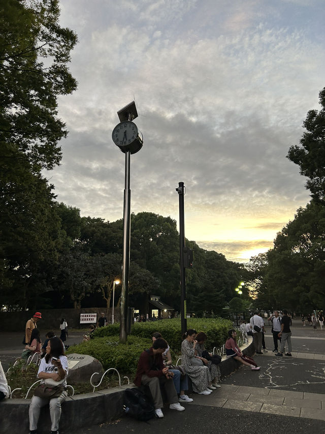 도쿄 요요기 공원에서 산책하기🌳💚