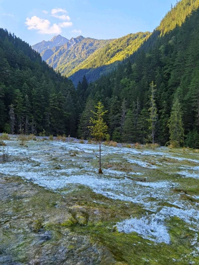 Jiuzhauguo Valley is a Perfect spot for Nature Lovers!