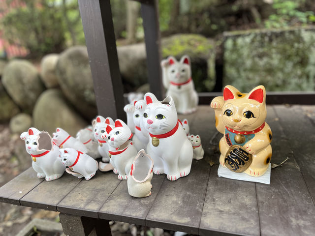 豪德寺(招福貓)一遊