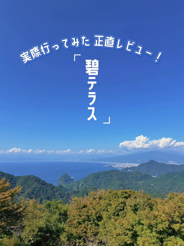 【📍伊豆】山頂に広がるブルー空間🩵実際行ってみて感じた正直レビュー！