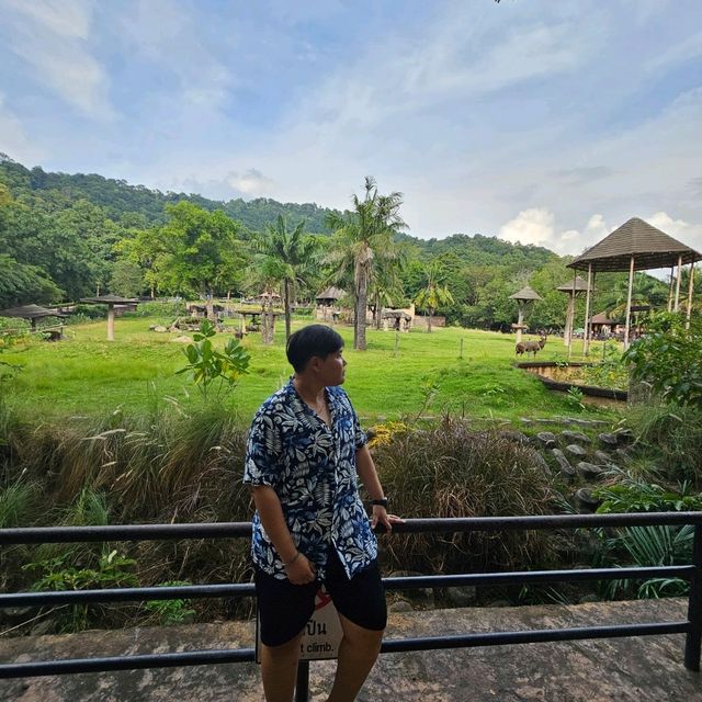 สวนสัตว์เปิดเขาเขียว จังหวัดชลบุรี