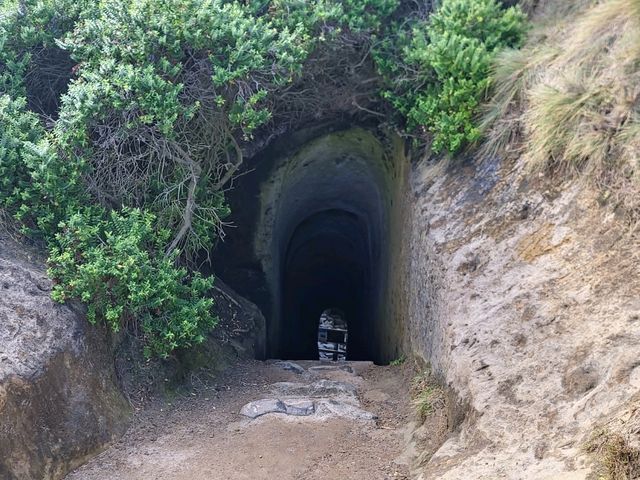 紐西蘭南島 像秘密景點的隧道海灘