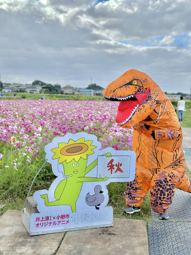 400万本のコスモス畑🌼*･
