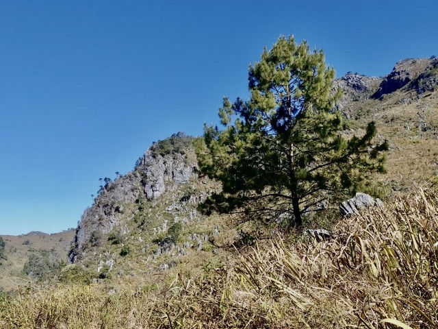 ครั้งหนึ่งในชีวิตพิชิตดอยหลวงเชียงดาว ⛰️ 