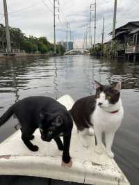Bangkok's Hidden Gem💎 Sailing with CATS at Hua Takhe Old Market