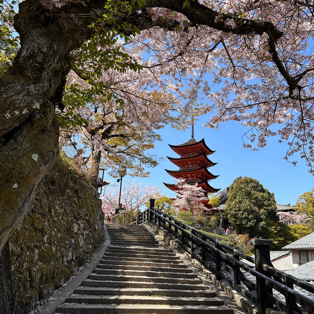 Island of Wonder: Exploring the Beauty and Charm of Miyajima!