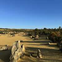  Pinnacles Desert：西澳大利亞的自然奇觀 🌵✨ 