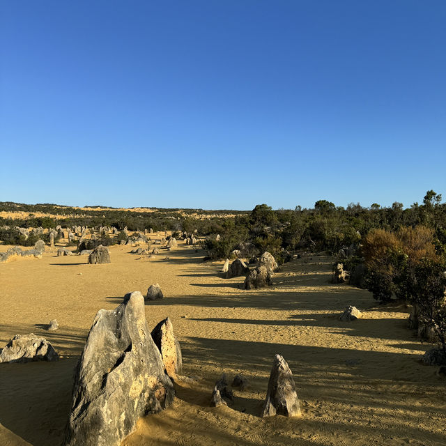  Pinnacles Desert：西澳大利亞的自然奇觀 🌵✨ 