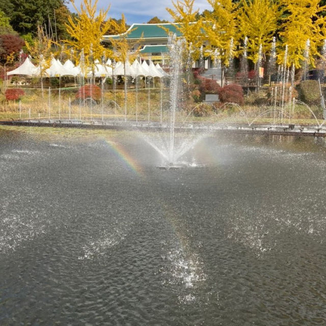 청주 단풍구경은 단연 청남대🍂