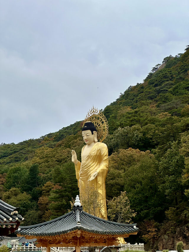 💛 가을을 만끽할 수 있는 🍁 충북 보은군 아름다운 가을 사찰 나들이 명소 🧡